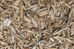 biomass boilers Fishtoft